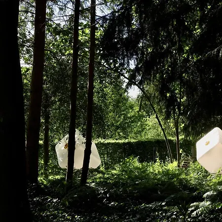 De Lochemse Berg Hotel Barchem