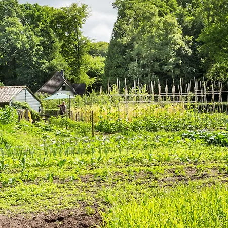 De Lochemse Berg Hotel