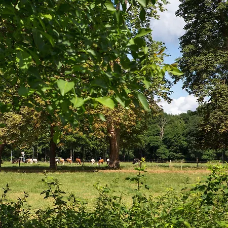 De Lochemse Berg Hotel Barchem