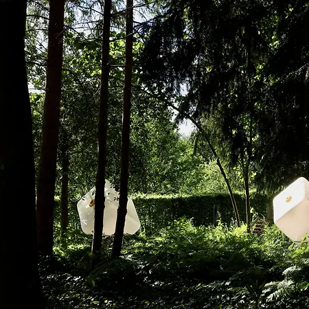 Hotel De Lochemse Berg 3*