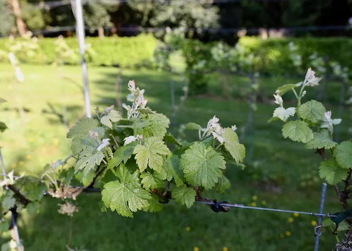 Отель De Lochemse Berg Барчем