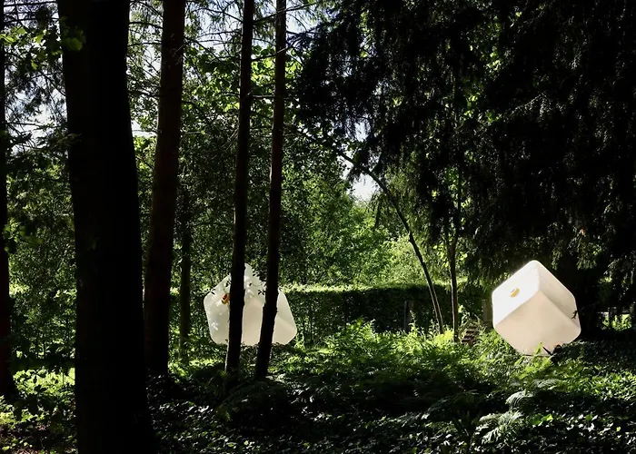 De Lochemse Berg מלון Barchem