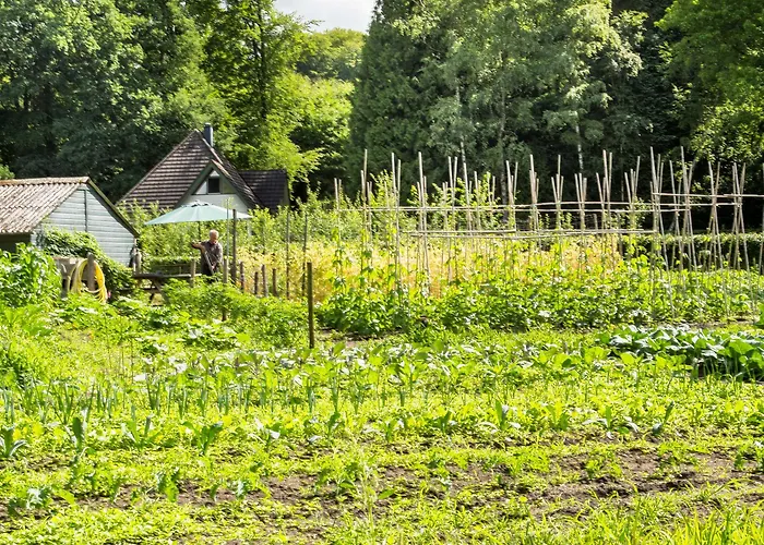 De Lochemse Berg Szálloda