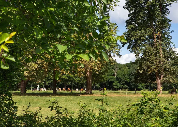 De Lochemse Berg Hotell Barchem