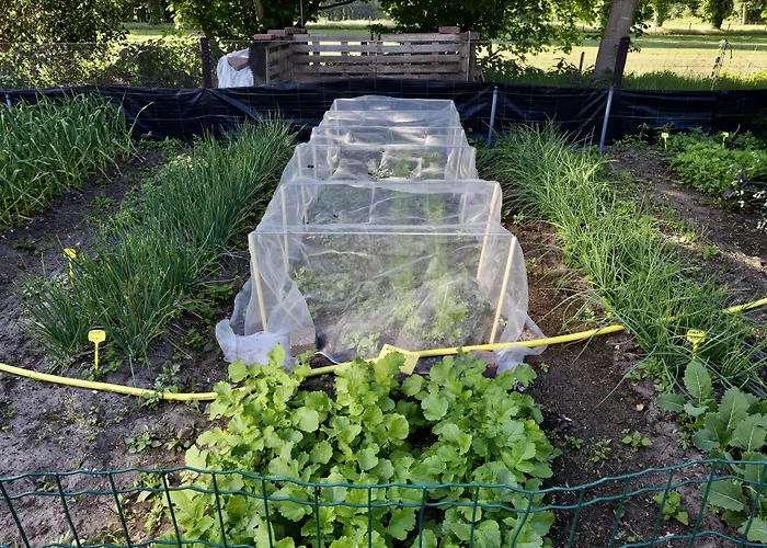 Hotell De Lochemse Berg 3*