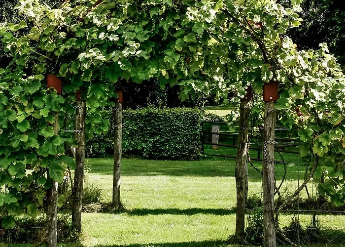 De Lochemse Berg Ξενοδοχείο