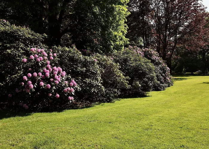 ホテル De Lochemse Berg 3*